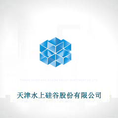 天津水上硅谷股份有限公司 天津水上硅谷股份有限公司