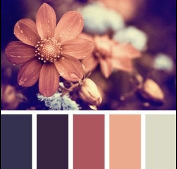 文率科技為您分享網(wǎng)頁(yè)設(shè)計(jì)顏色使用技巧